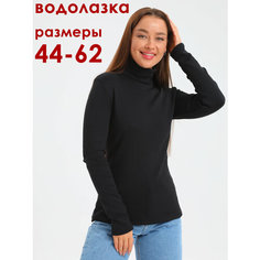 Водолазка НиРо, размер 50, , чёрный
