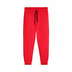Брюки спортивные Armani Exchange, размер L, красный