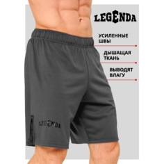 Шорты спортивные Legenda, размер L, серый