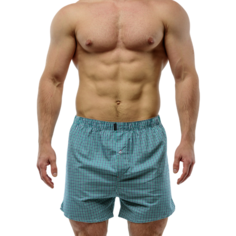 Трусы , размер XXXL-54-56, зеленый S