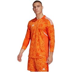 Лонгслив спортивный adidas Condivo 22 Gk Long Sleeve Jersey, размер L, , оранжевый