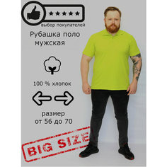 Поло Rikos, размер 60-62 182/188, салатовый
