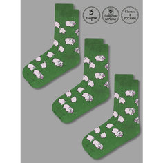 Носки Kingkit Носки Кингкит 3 пары подарочная упаковка цветные, комплект, 3 пары, размер 41-45, зеленый