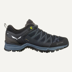 Ботинки Salewa Mountain Trainer Lite GTX MS, размер 41 UK 7.5 USm 8.5 СМ 26.5, черный