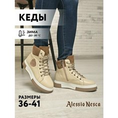 Ботинки Alessio Nesca, размер 37, бежевый