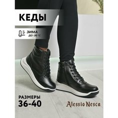 Ботинки Alessio Nesca, размер 36, черный