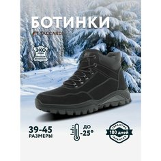 Ботинки T.Taccardi, размер 42, черный