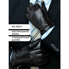 Перчатки , размер 11, черный Clarissa