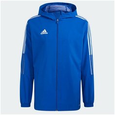 Куртка спортивная adidas, размер XL, синий