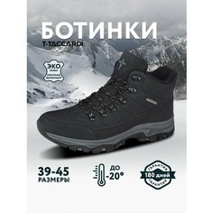 Ботинки T.Taccardi, размер 42, черный
