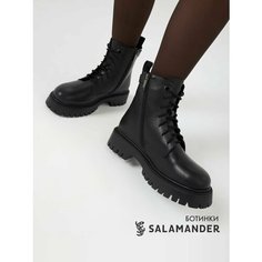 Ботинки тимберленды Salamander, размер 35, черный