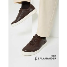 Кеды Salamander, полнота 6 (RU)/ на среднюю стопу, размер 41, темно-коричневый