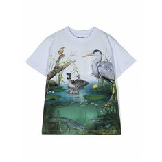 Футболка Molo, размер 104, зеленый