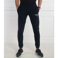 Брюки спортивные Tommy Jeans, размер XXL, темно-синий