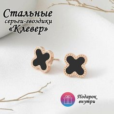 Серьги пусеты, эмаль, размер 10 мм, черные Sindri Land