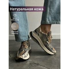 Кроссовки Reversal, полнота F (EU)/ на среднюю стопу, размер 37, коричневый, черный, золотой