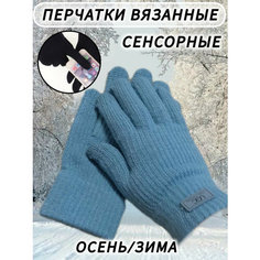 Перчатки , размер универсальный, синий Нет бренда