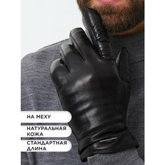 Перчатки , размер 10.5, черный Clarissa