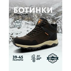 Ботинки T.Taccardi, размер 40, коричневый