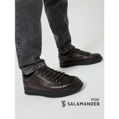 Кеды Salamander, полнота 6 (RU)/ на среднюю стопу, размер 41, темно-коричневый
