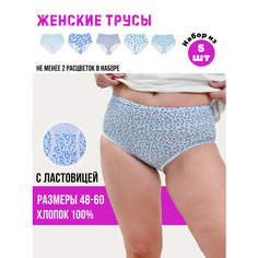 Трусы РТИ, комплект из 5 шт., размер 48, мультиколор