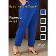 Брюки трубы Kingmarin Широкие, размер 64, васильковый