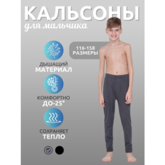Термобелье низ ESS Термобелье кальсоны ESS, кашемир, шелк, с начесом, влагоотведение,, размер 158/13-14 лет/42/ обхват груди 84, серый