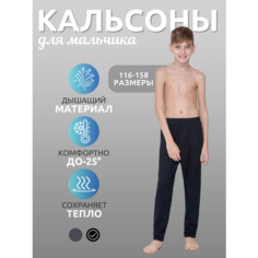 Термобелье низ ESS Термобелье кальсоны ESS, кашемир, шелк, с начесом, влагоотведение,, размер 146/11-12 лет/38/обхват груди 76, черный
