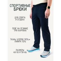 Брюки , размер 52, синий В