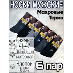 Носки Береза, комплект, 6 пар, размер 41-47, серый