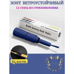 Смарт-зонт , темно-синий Кофанов