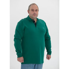 Поло ТД Коллекция, размер 6XL, зеленый