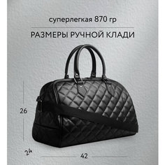 Сумка дорожная Antan, 20 л, 42х26х24 см, ручная кладь, черный