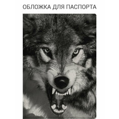 Обложка для паспорта Elole Design, черный, белый, серый