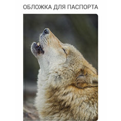 Обложка для паспорта Elole Design, черный, бежевый, белый, серый