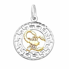 Подвеска The Jeweller, серебро, 925 проба, родирование, фианит, золотистый, серебристый