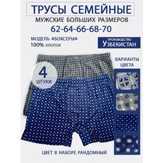 Трусы ГИГАНТЫ, размер 68, мультиколор