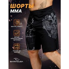 Шорты спортивные Barracuda, размер XXL, черный/серый