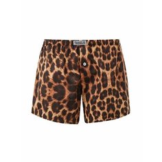 Трусы TRUSSELYA, размер L, коричневый