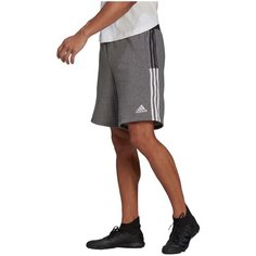 Шорты спортивные adidas, размер XS, серый