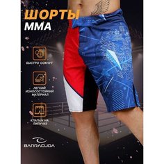 Шорты Barracuda, размер XS, синий, красный, белый