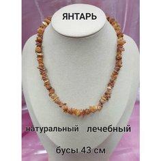 Бусы, янтарь, длина 43 см, желтый Нет бренда