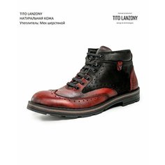 Ботинки Tito Lanzony, размер 43, бордовый/черный