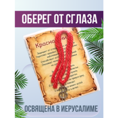 Славянский оберег, Браслет-нить, 1 шт., размер 30 см, размер one size, диаметр 15 см, красный Мастерская колдуна