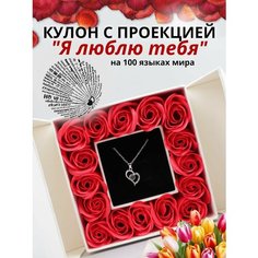 Колье Best Wishes, фианит, серебристый