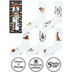 Носки Kingkit, комплект, 5 пар, размер 41-45, белый, горчичный, желтый