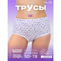 Трусы AL&IR Textile Ivanovo, комплект из 2 шт., размер 66, разноцветный