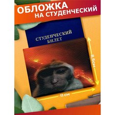 Обложка для студенческого билета Sticker Joy, красный