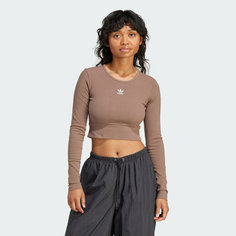 Футболка спортивная adidas Originals, размер S INT, brown