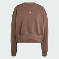 Свитшот спортивный adidas Originals, размер L INT, , brown
